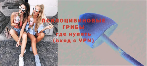 молекула духа Алексеевка