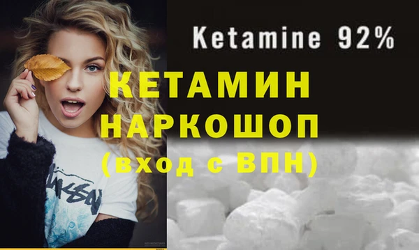 дмт Пересвет