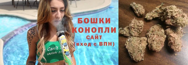 молекула духа Алексеевка