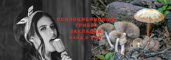 2c-b Алексин