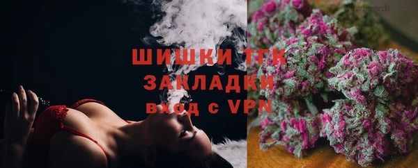 молекула духа Алексеевка