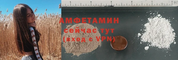 прущие грибы Пестово